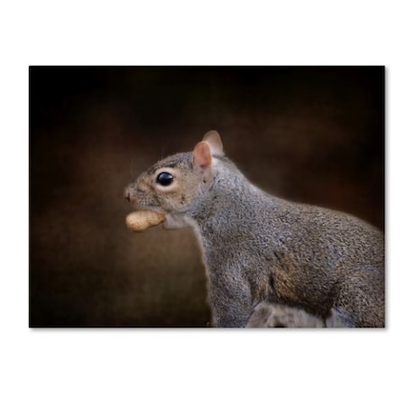 Jai Johnson 'The Nut Collector Squirrel' Canvas Art,14x19